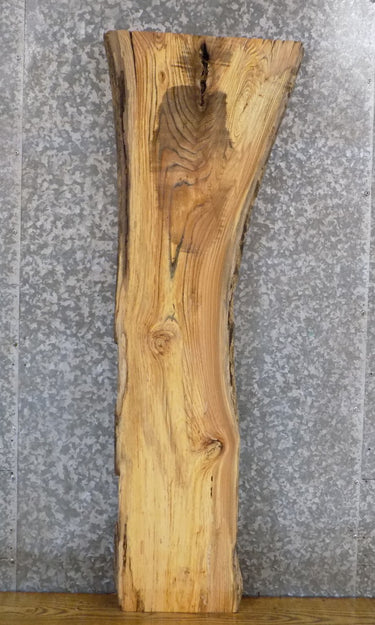 Live Edge Locust Rustic Wood Slab 39460